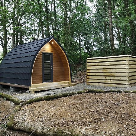 The Pod-Hot Tub-Woodland Lodges-St Clears-Carmarthen Luaran gambar