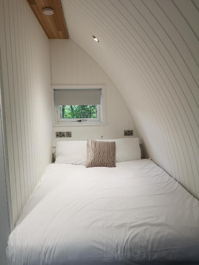 The Pod-Hot Tub-Woodland Lodges-St Clears-Carmarthen Luaran gambar