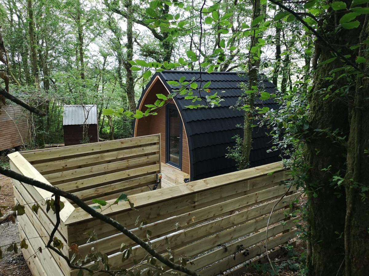 The Pod-Hot Tub-Woodland Lodges-St Clears-Carmarthen Luaran gambar