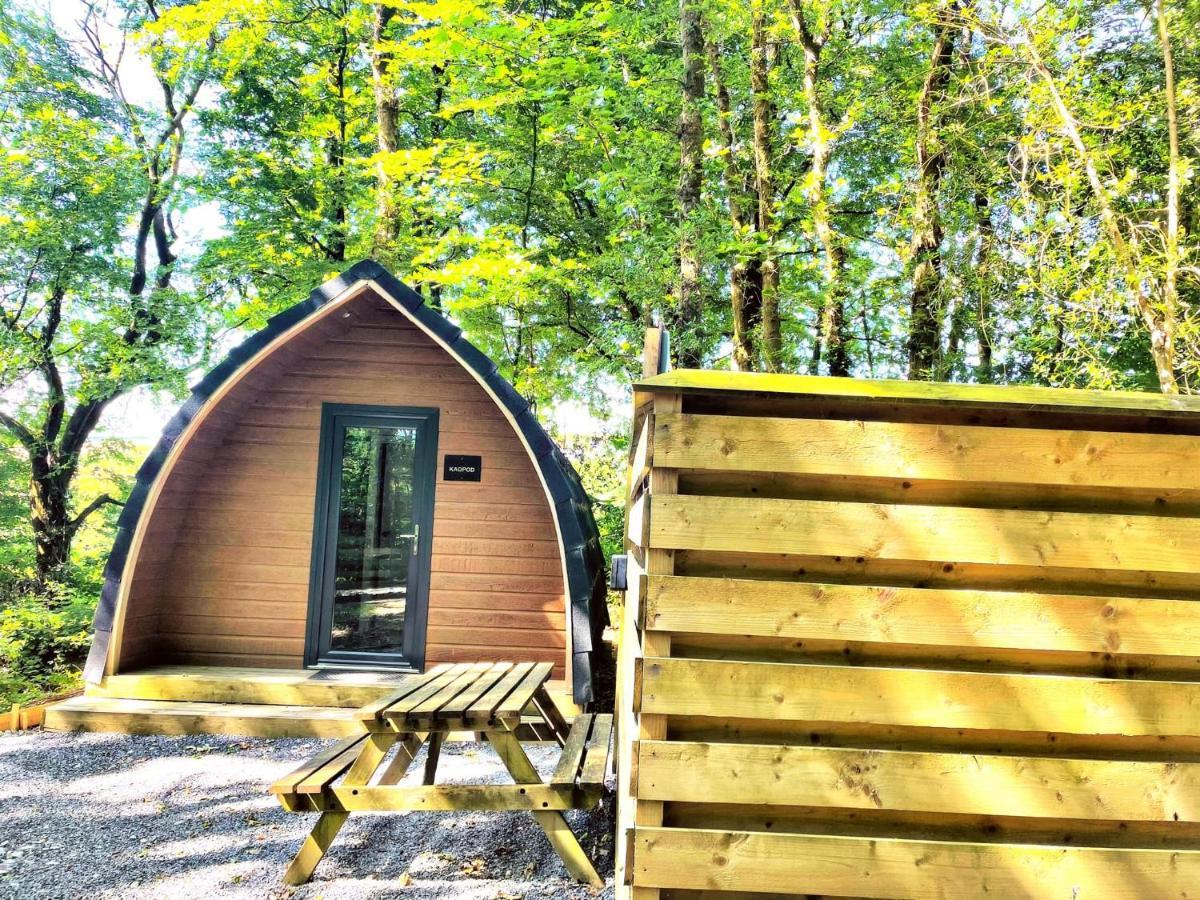 The Pod-Hot Tub-Woodland Lodges-St Clears-Carmarthen Luaran gambar